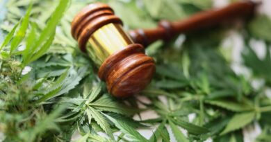 Die Legalisierung von Cannabis in Deutschland: Ein Überblick über die neue Gesetzgebung