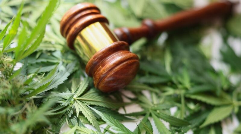 Die Legalisierung von Cannabis in Deutschland: Ein Überblick über die neue Gesetzgebung