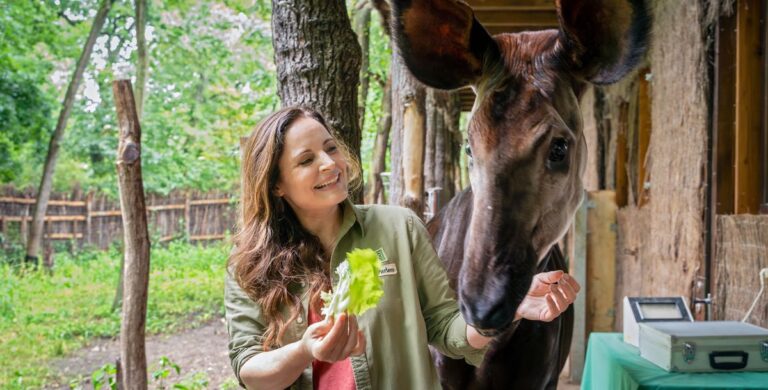 Die "Tierärztin Dr. Mertens" dreht neue Folgen