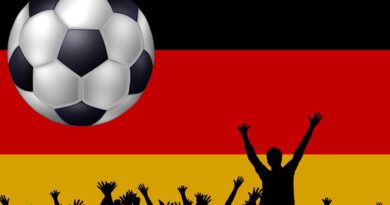 Fußball-EM: Kaum ein "Wir-Gefühl"