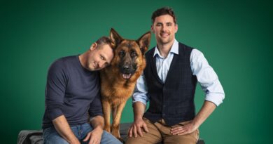 "Kommissar Rex" - TV-Schäferhund feiert Comeback